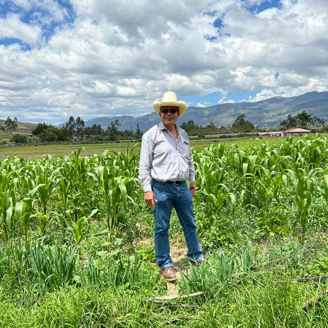 <em>Julio Cesar M.</em>